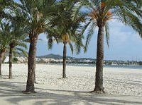 Alcudia, Mallorca